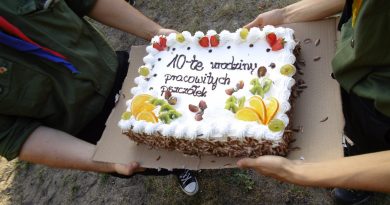 Dziesiąte urodziny 44 GZ „Pracowite Pszczółki” Dziesiąte urodziny 44 GZ „Pracowite Pszczółki”