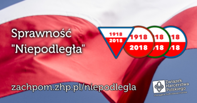 Niepodległa! Podsumowanie Niepodległa! Podsumowanie